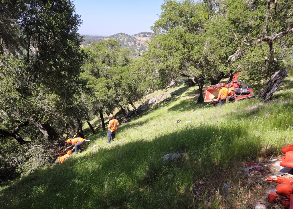 Using the winch to pull piles uphill for chipping
